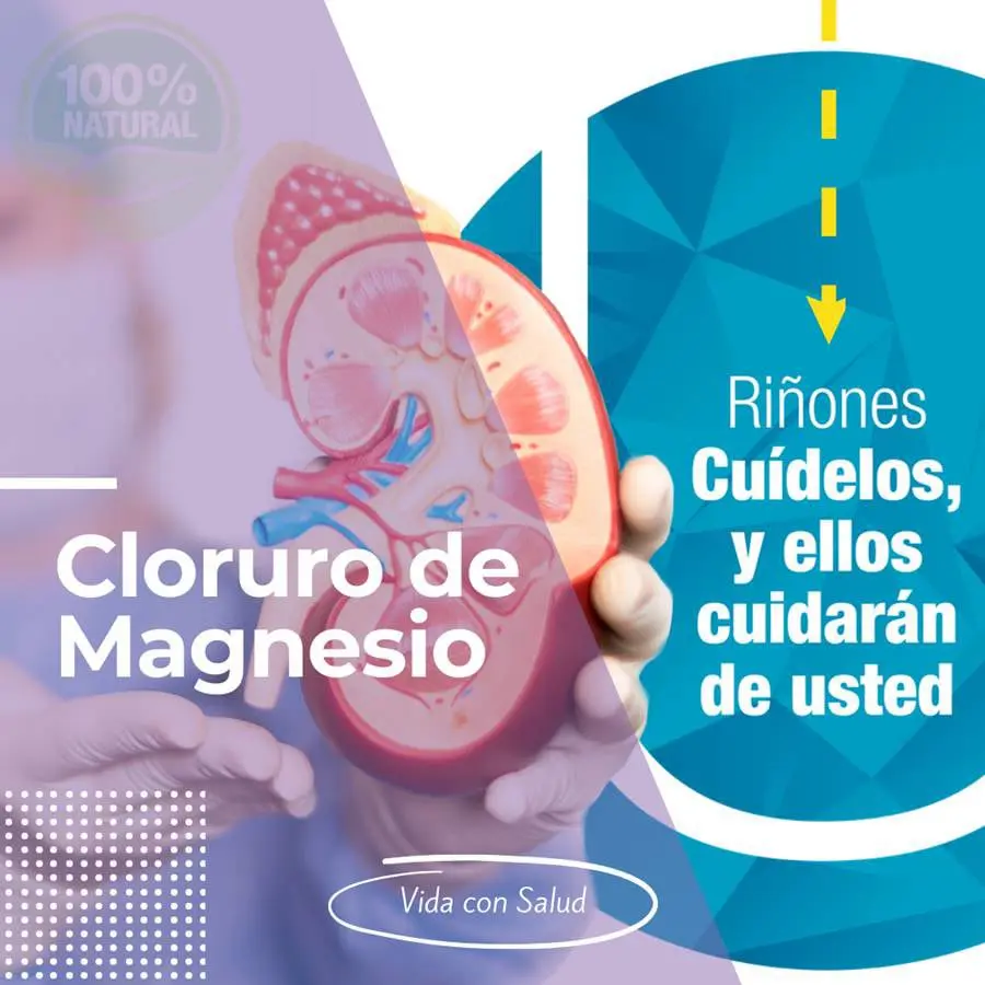 Riñones cuídelos y ellos cuidaran de usted Vidaconsalud